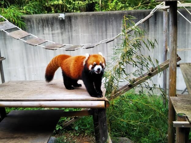 とくしま動物園